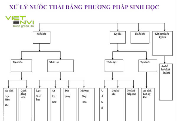 Hệ thống xử lý nước thải bằng phương pháp sinh học